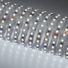 Indigo Lighting - Bandeau LED 5m 4,8W/m 632lm/m 2700K CRI80 120ø IP20 24Vdc CLIII