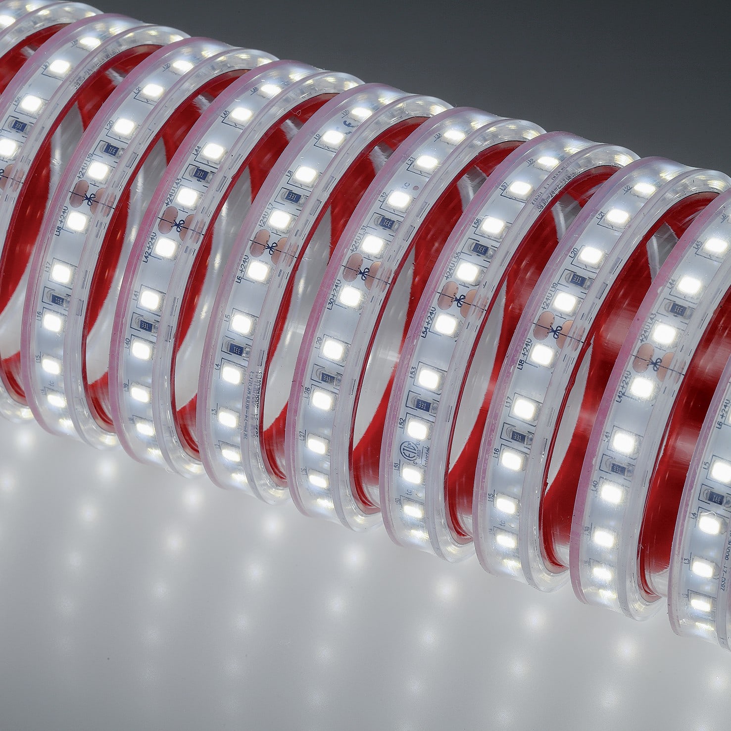 Indigo Lighting - Bandeau LED 5m 4,8W/m 665lm/m 3000K CRI80 120ø IP67 24Vdc CLIII