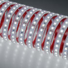 Indigo Lighting - Bandeau LED 5m 4,8W/m 745lm/m 6000K CRI80 120ø IP67 24Vdc CLIII