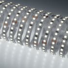 Indigo Lighting - Bandeau LED 5m 7W/m 1490lm/m 4000K CRI80 120ø IP20 24Vdc CLIII