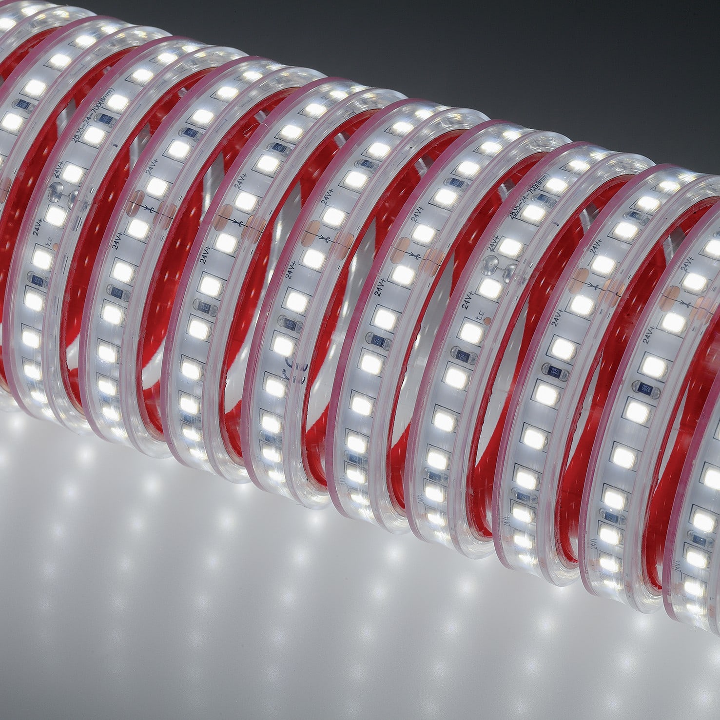 Indigo Lighting - Bandeau LED 5m 7W/m 1264lm/m 2700K CRI80 120ø IP67 24Vdc CLIII