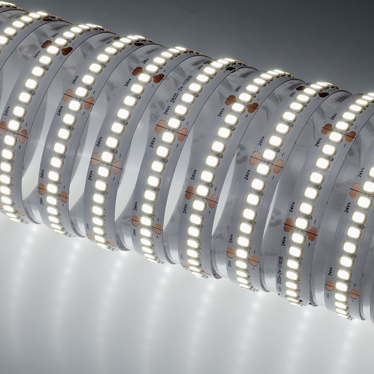 Indigo Lighting - Bandeau LED 5m 11W/m 2260lm/m 6000K CRI80 120ø IP20 24Vdc CLIII