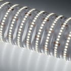Indigo Lighting - Bandeau LED 5m 11W/m 2260lm/m 6000K CRI80 120ø IP20 24Vdc CLIII