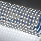 Indigo Lighting - Bandeau LED 5m 10W/m 1350lm/m 3000K 120 CRI80 IP20 24Vdc CLIII