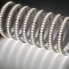 Indigo Lighting - Bandeau LED 5m 14W/m 3140lm/m 4000K CRI90 120ø IP20 24Vdc CLIII