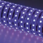 Indigo Lighting - Bandeau LED 5m 14W/m 990lm/m RGB 120ø IP67 24Vdc CLIII