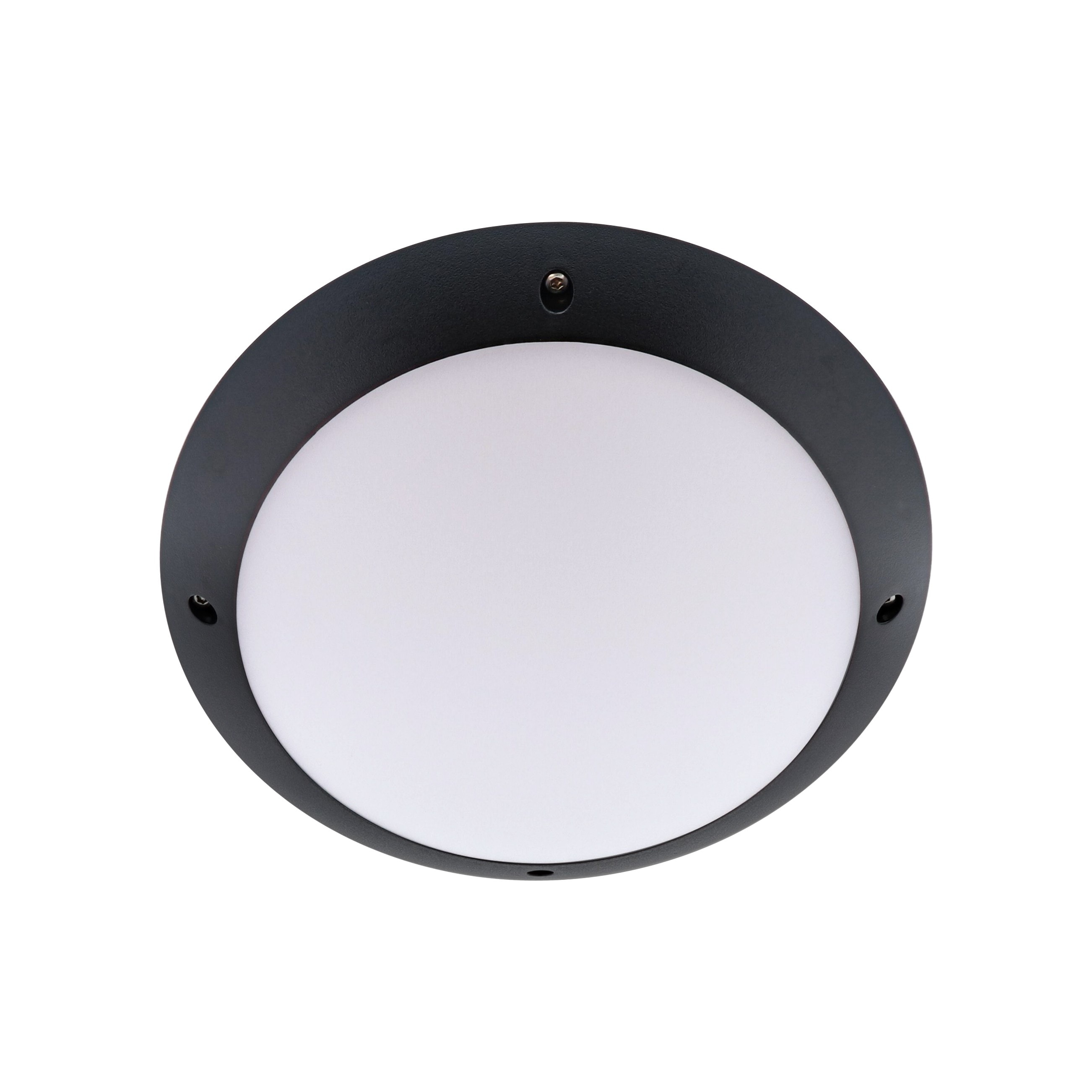 Indigo Lighting - MINI TIMY EVO 7-12W 110° IP66 Noir mat