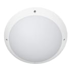 Indigo Lighting - TIMY EVO 15-18-22W 110° IP66 Blanc mat