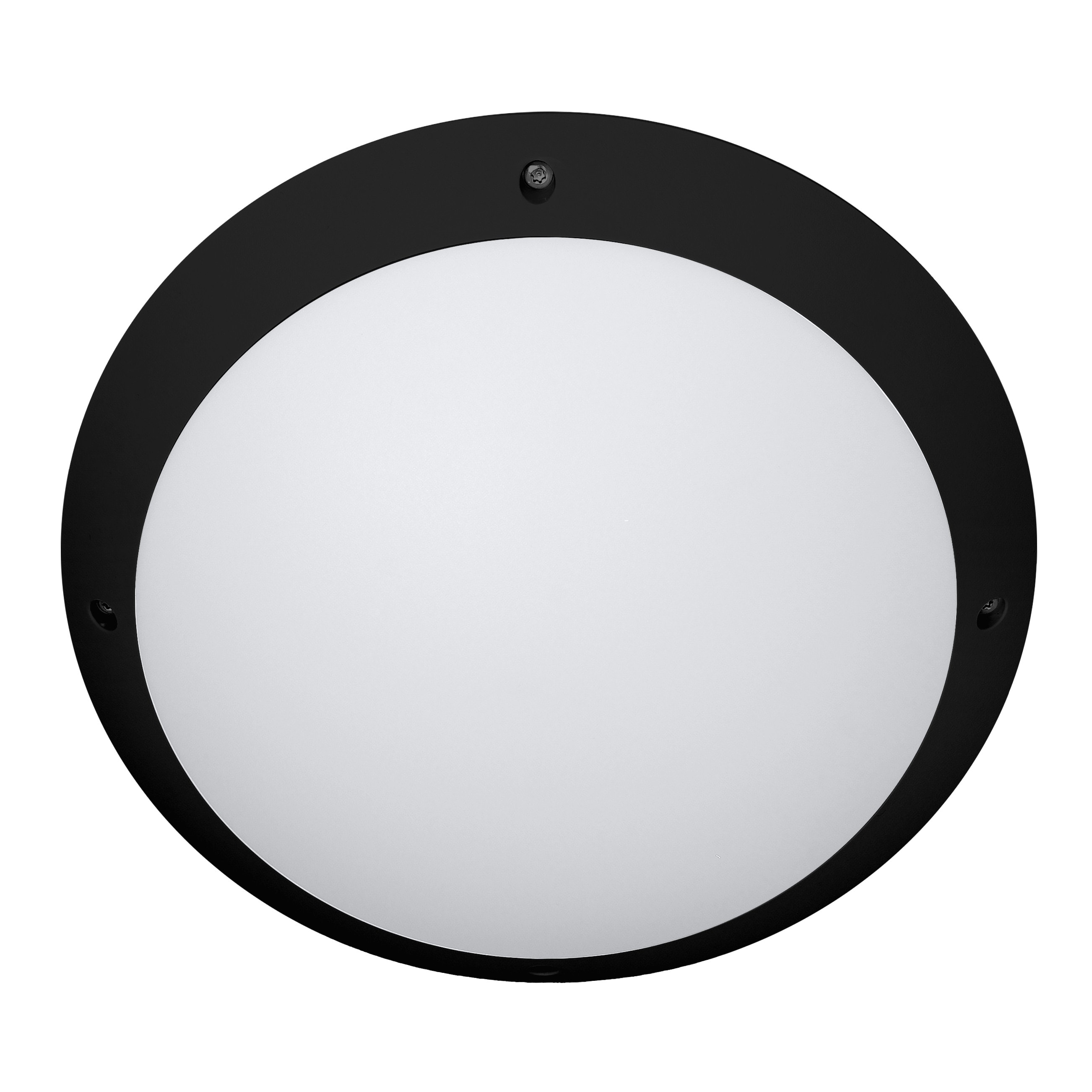 Indigo Lighting - TIMY SENSOR EVO 16-19-23W 110° IP66 Noir mat