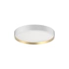 Indigo Lighting - NOVA CSP 1 C 26W 3930Lm 120° Blanc mat - Doré