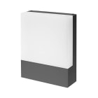 Indigo Lighting - LUXI 45  6W 660Lm 3000K 120° IP54 Anthracite