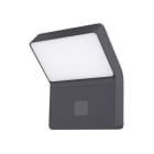 Indigo Lighting - LUXI 175 SENSOR 9W 1300Lm 4000K IP54 Anthracite