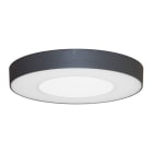 Indigo Lighting - ASPI 1 SENSOR PLUS 30W 3000Lm IP54 Anthracite