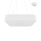 Indigo Lighting - CAPRI S 2 P 42W 5150Lm 90° DALI Blanc mat