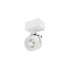 Indigo Lighting - PIXA 1 10W 1200Lm 3000K 38° DIM Blanc mat