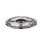 Indigo Lighting - ST153 9,6W/m L:5m 24VDC 6000K