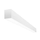 Indigo Lighting - SULLY C 26W 3500Lm 3000K IP20 DALI Blanc mat