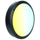 SWITCHLITE - HerculesCWS - Hublot rond IP65 IK10 240V 12.5/15/17/18W 3000K/3500K/4000K 108°