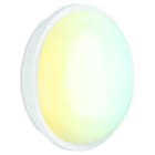 SWITCHLITE - UtiliteCS? - Hublot LED polyc. 240V 20W IP65 IK06 rond 3000K/4000K/6500K BL