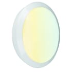 SWITCHLITE - OrbitalCSR? - Hublot RSE IP66 IK10 240V Ø300 15/22/28W 3000/3500/4000K MS+Corrid