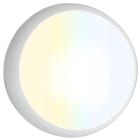 SWITCHLITE - SpheralCWS? - Hublot LED IP65 IK10 15/18/22W 3CCT 30-35-40K 120lm/m 850°C Bl+MS