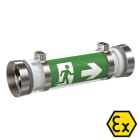 Kaufel - InduXEL/ Bloc évacuation + ambiance - ATEX Zone 2&22 - Adress. SATI - 400lm -LED
