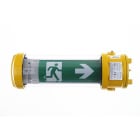 Kaufel - InduXEL/ Bloc évacuation - ATEX Zone 1/2/21/22 - Auto.SATI -70lm-LED-IP66 IK10