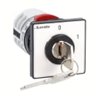 LOVATO ELECTRIC - 3P 2POS SWITCH F/MTNG IP65 DIAMETER 22MM