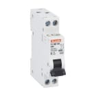 LOVATO ELECTRIC - DISJONCTEUR MODULAIRE magnetotermique 1 MOD 6kA 1P+N C 40A