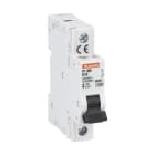 LOVATO ELECTRIC - DISJONCTEUR MODULAIRE magnetotermique 1 MOD 1P D 1A 10kA