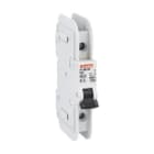 LOVATO ELECTRIC - DISJONCTEUR MODULAIRE magnetotermique 1 MOD 1P D8 277V 10kA UL489