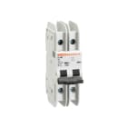 LOVATO ELECTRIC - DISJONCTEUR MODULAIRE magnetotermique 2P C50 240V 10kA UL489