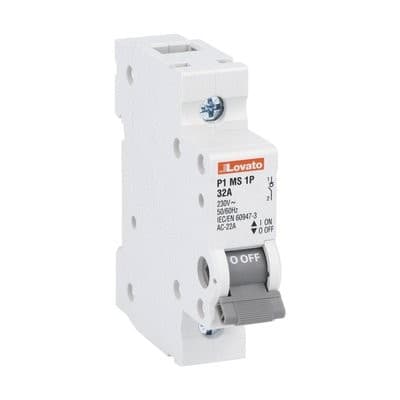 LOVATO ELECTRIC - Interrupteur sectionneur modulaire - 1P 100A