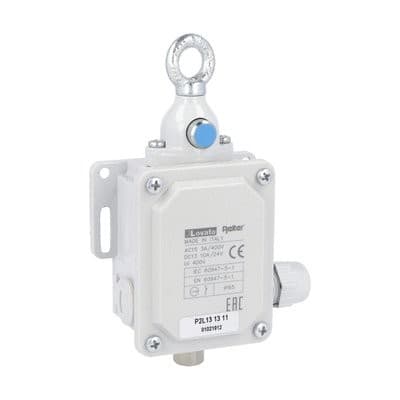 LOVATO ELECTRIC - INTERRUPTEUR FIN DE COURSE 1NA+1NC 12KG