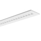 Performance in Lighting - FLEXILED 5IL28S/A840WH9016LW1500/150 - 3120850