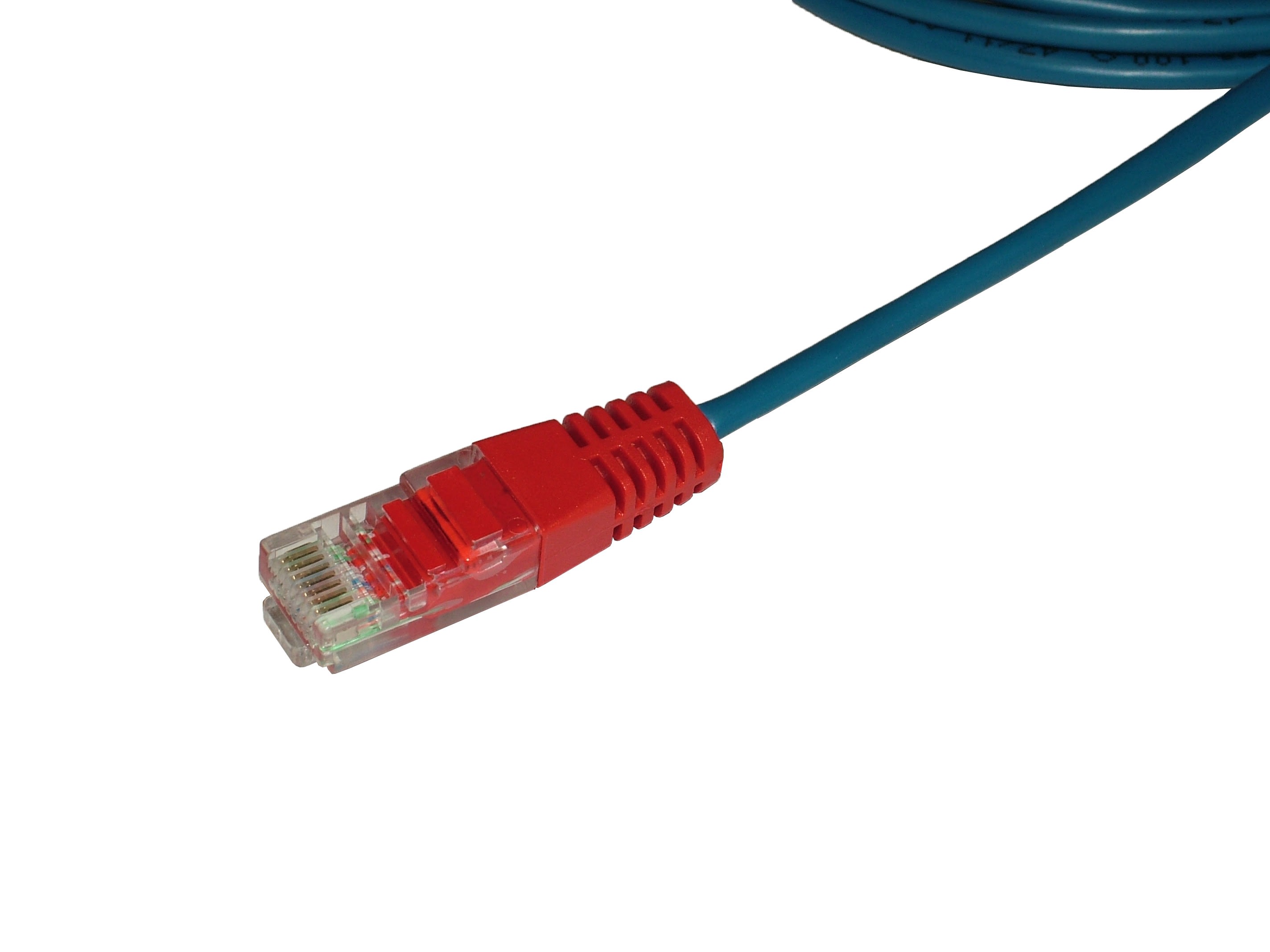 Decelect Forgos - Cordon UTP 2 paires - bleu surmoulé Rouge 1m