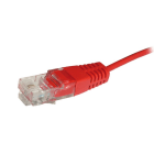 Decelect Forgos - Cordon RJ45 1 paire UTP rouge 1m