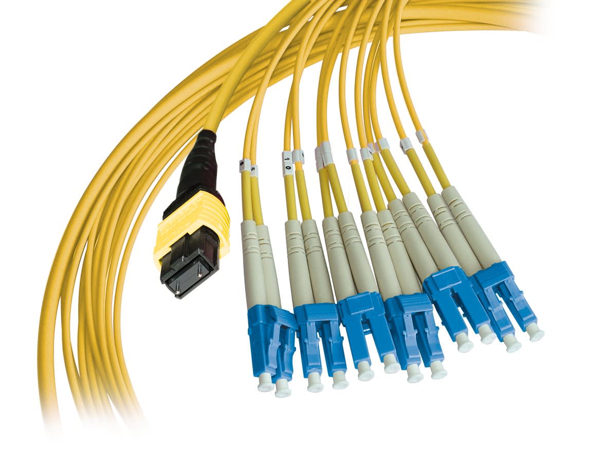 Decelect Forgos - TRUNK 12 fibres OS2 LC duplex/MTP® mâle Key up 20M