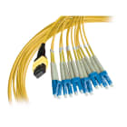 Decelect Forgos - TRUNK 12 fibres OS2 LC duplex/MTP® mâle Key up 50M