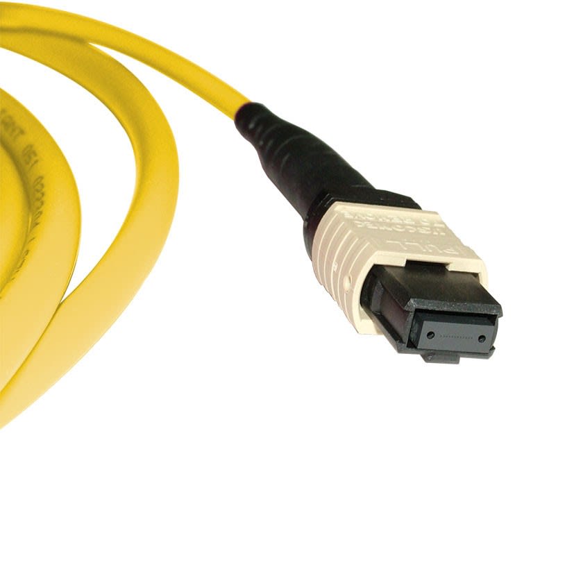 Decelect Forgos - Trunk 12 fibres OS2 Key up Key down MTP®/MTP® Méthode A 30M