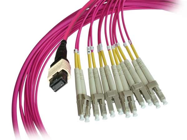 Decelect Forgos - Trunk 12 fibres OM4 LC duplex/MTP® mâle Key up 10M