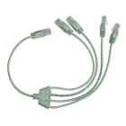 Decelect Forgos - Cordon RJ45/RJ45 quadrupleur de ligne téléphone pour sortie DTI Lg : 0.4m