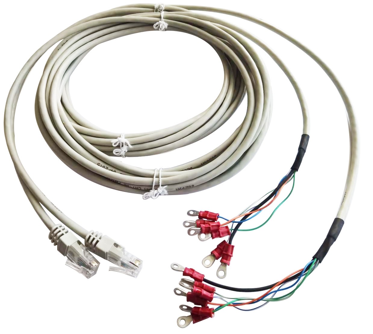 Decelect Forgos - Câbles pour 10 contact secs - 15 feet