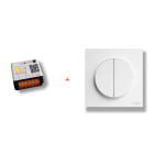 Decelect Forgos - Kit éclairage connecté avec 1 interrupteur radio 2 touches et 1 micromodule
