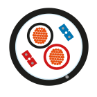 Decelect Forgos - CABLE HYBRIDE 5G Alim cuivre 2x1.5mm² + Data fibre 2xG657A2 LSOH 1000M