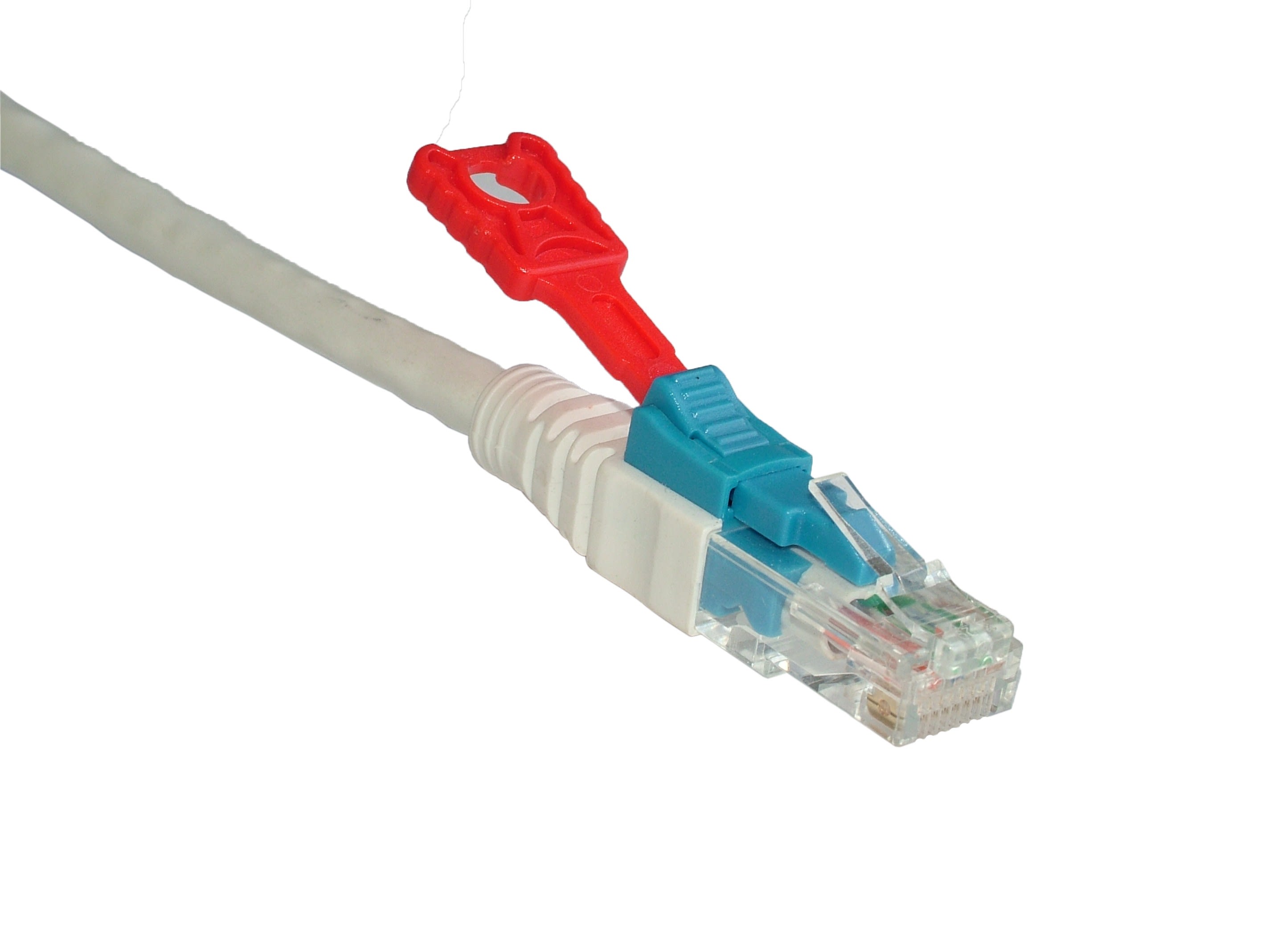 Decelect Forgos - CORDON LOCKPRO GRIS CAT.6A U-UTP VERROUILLABLE 0,5M