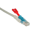 Decelect Forgos - CORDON LOCKPRO GRIS CAT.6A U-UTP VERROUILLABLE 0,5M