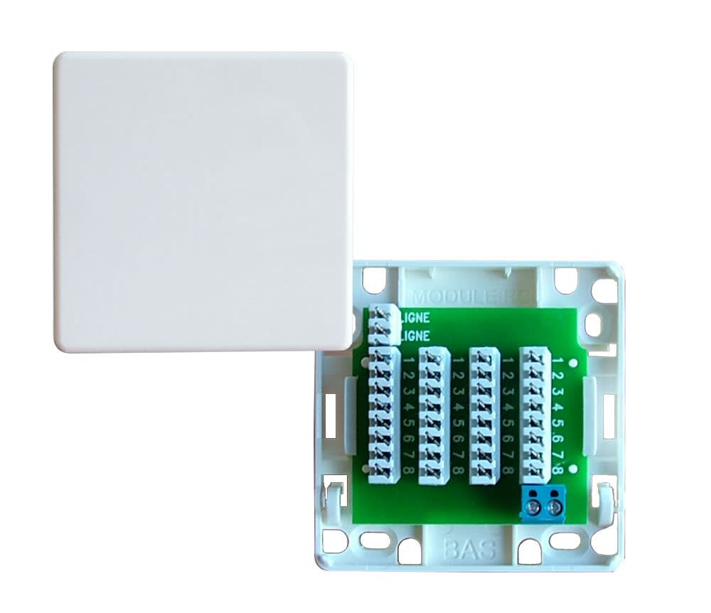 Decelect Forgos - BOITE DE RACCORD 4X4P+T BLANC