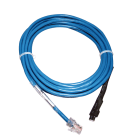 Decelect Forgos - Sonde de Temperature-Humidite etanche - 15 feet