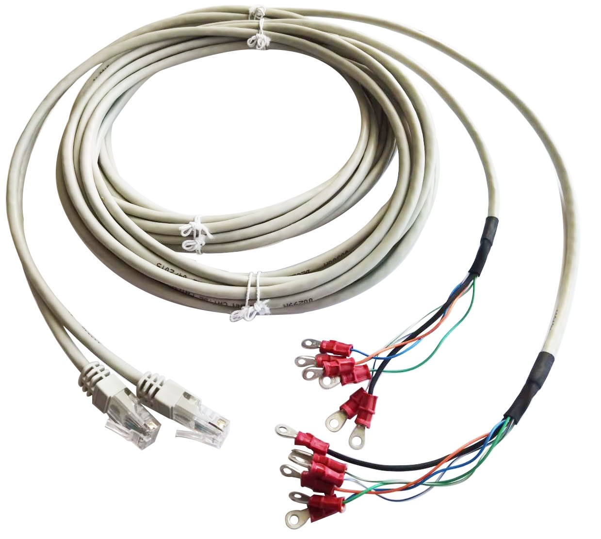 Decelect Forgos - Cables pour 10 contact secs - 15 feet